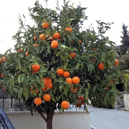 Διαμέρισμα Ljuta Naranca *